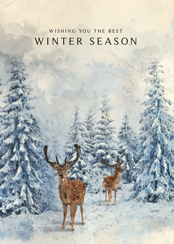 Рисованная открытка с елками и оленями