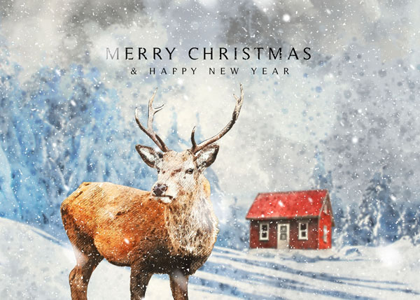 Рождественская открытка с оленем